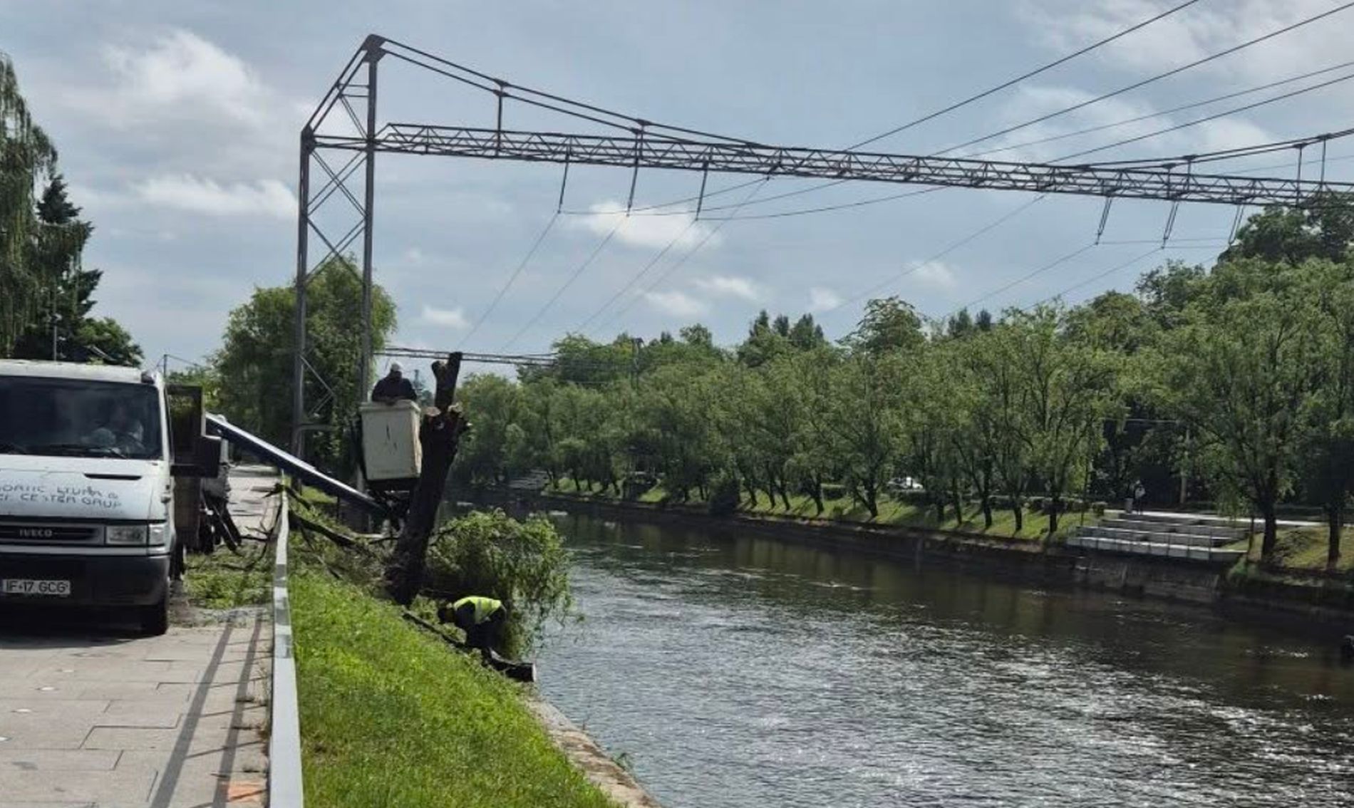 Controversa privind tăierea copacilor pe malul Someșului în Cluj-Napoca