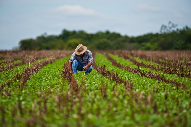 România a obținut 1,1 miliarde de euro de la CE pentru agricultură