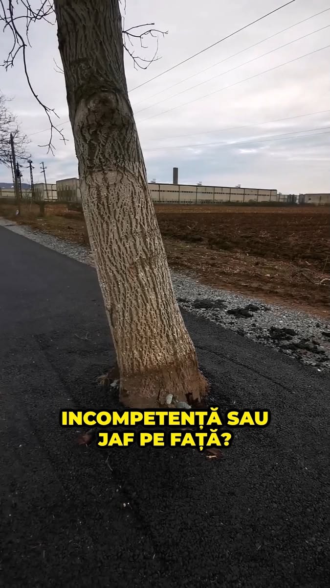 Incompetenta sau jaf pe fata?