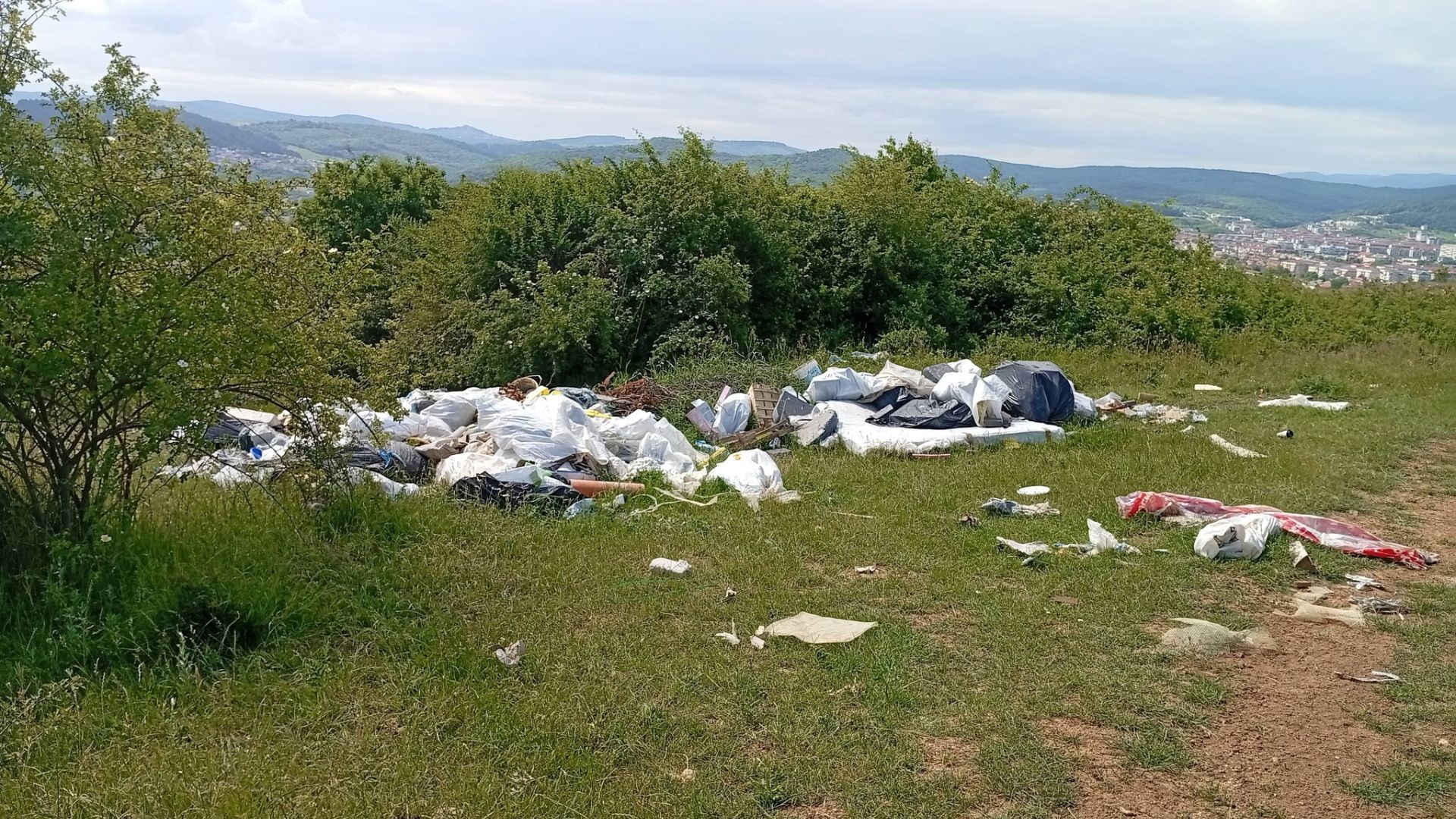 Gunoi abandonat în pădurile din Florești, lângă Cluj-Napoca