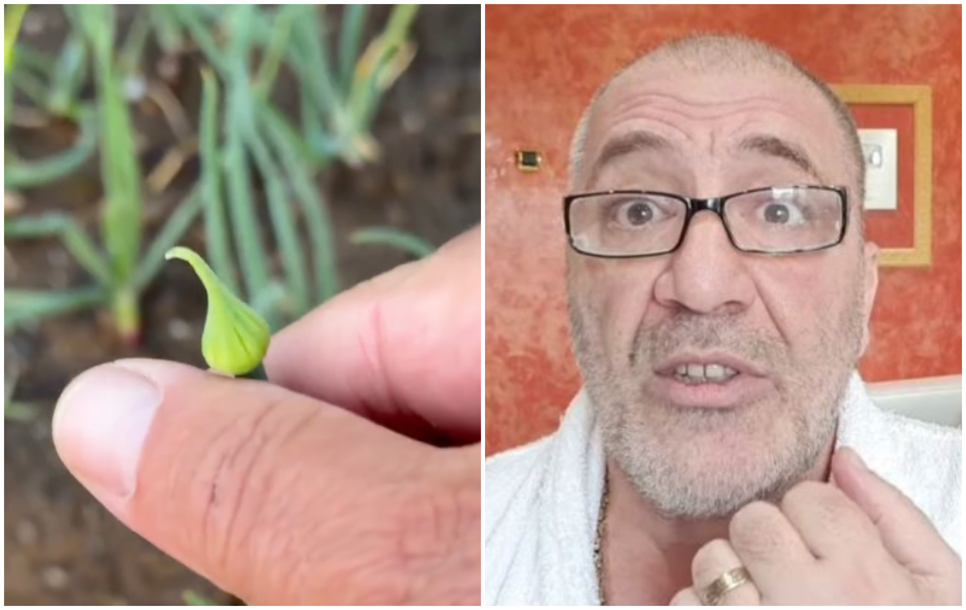 Nelson Mondialu se aventurează în agricultură și cere ajutorul românilor