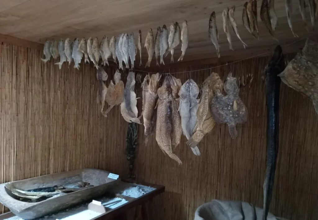 Dobrogea aspiră la titlul de Regiune Gastronomică Europeană 2029