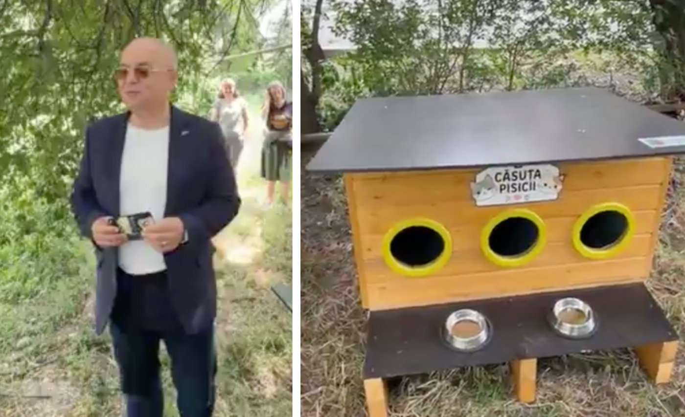 Primele adăposturi pentru pisicile comunitare din Cluj, oferite de Primărie
