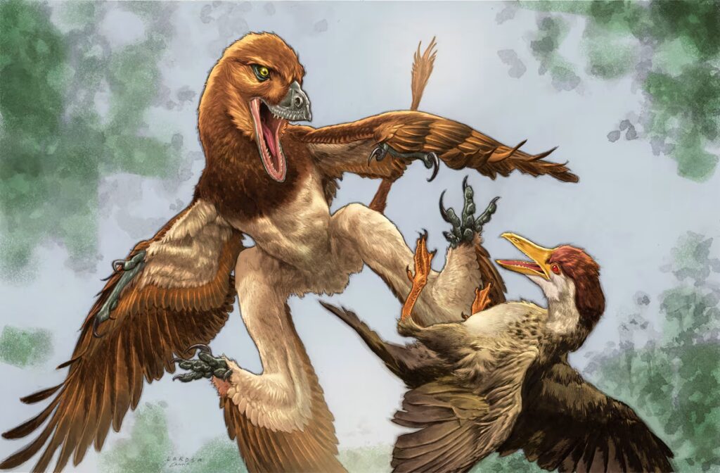 Descoperire din China oferă noi perspective asupra evoluției dinozaurilor cu zbor