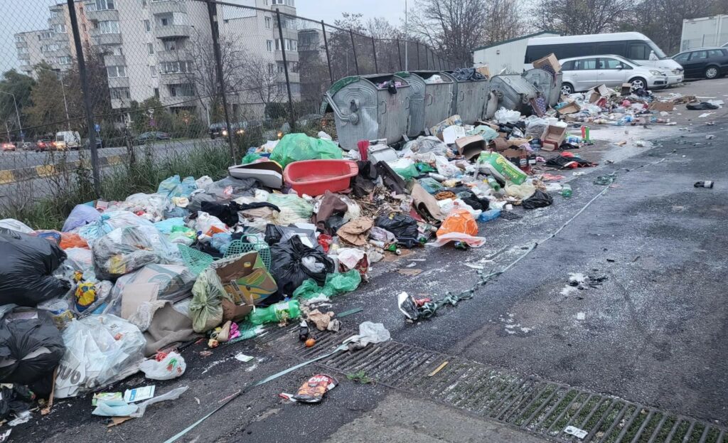 Primăria Arad investește milioane în curățarea terenurilor de gunoaie