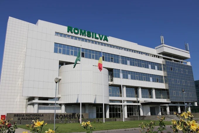 Reducerea numărului directorilor direcțiilor silvice regionale