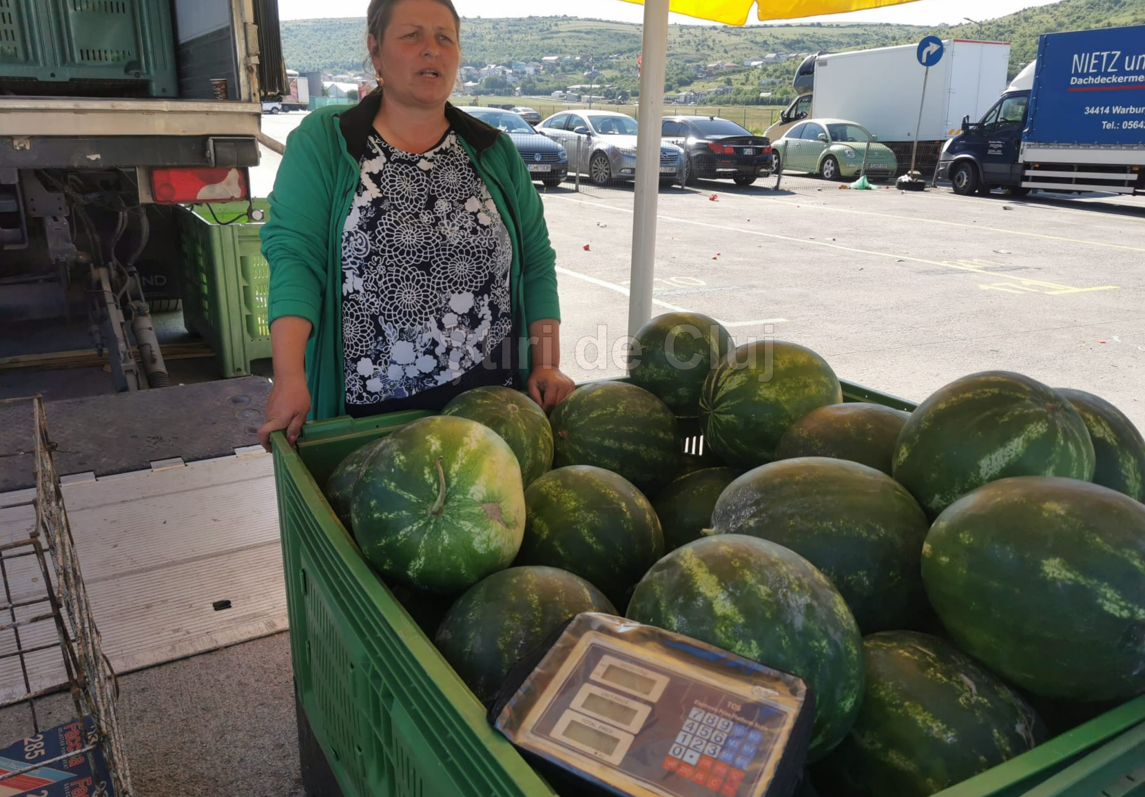 Primii pepeni de Dăbuleni, disponibili la Cluj la prețul de 4 lei/kg