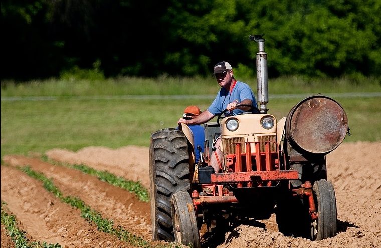 Declinul agriculturii mici în Bihor: Peste o mie de cereri de subvenție neînregistrate