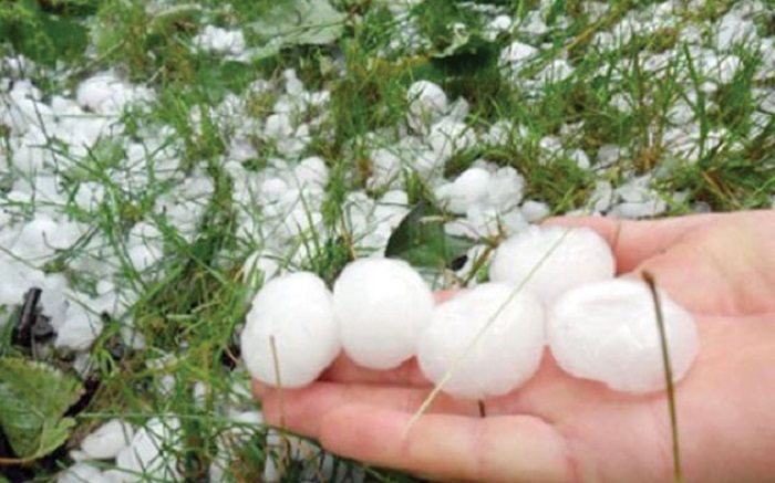 Ministrul Agriculturii propune o tehnologie modernă pentru sistemul antigrindină