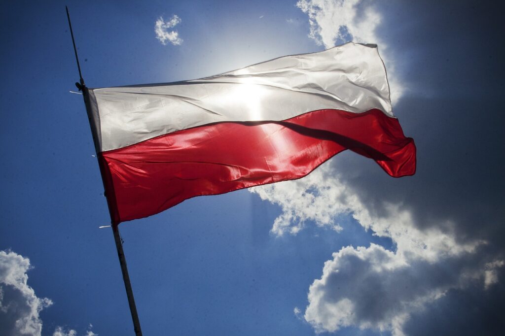 Polonia sancționează difuzarea online a infracțiunilor cu până la 5 ani de închisoare