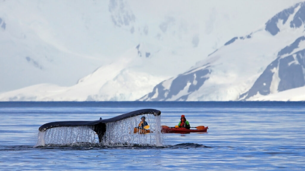Temperaturi neobișnuite în Antarctica la începutul iernii australe