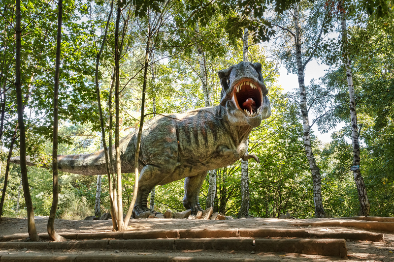Investiții turistice la Ineu: parc cu dinozauri și bob de vară