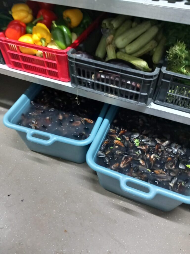 Golful Pescarilor din Agigea, închis temporar de Protecția Consumatorilor