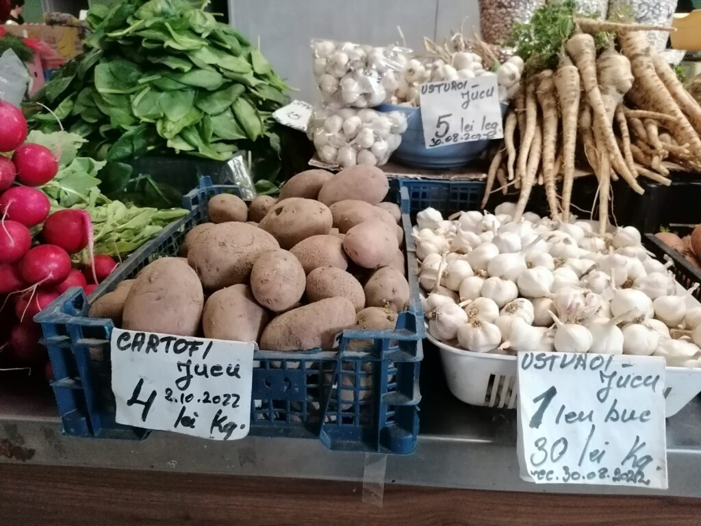 Scădere semnificativă a cultivatorilor de usturoi în România