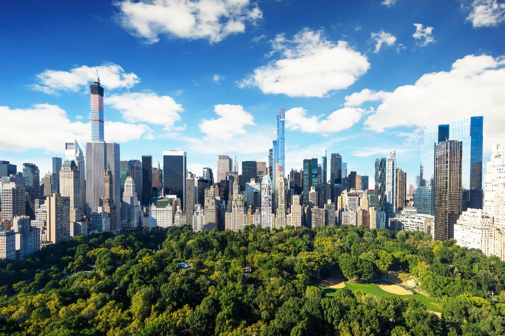 Un tânăr de 18 ani a decedat într-un accident de trăsură în Central Park