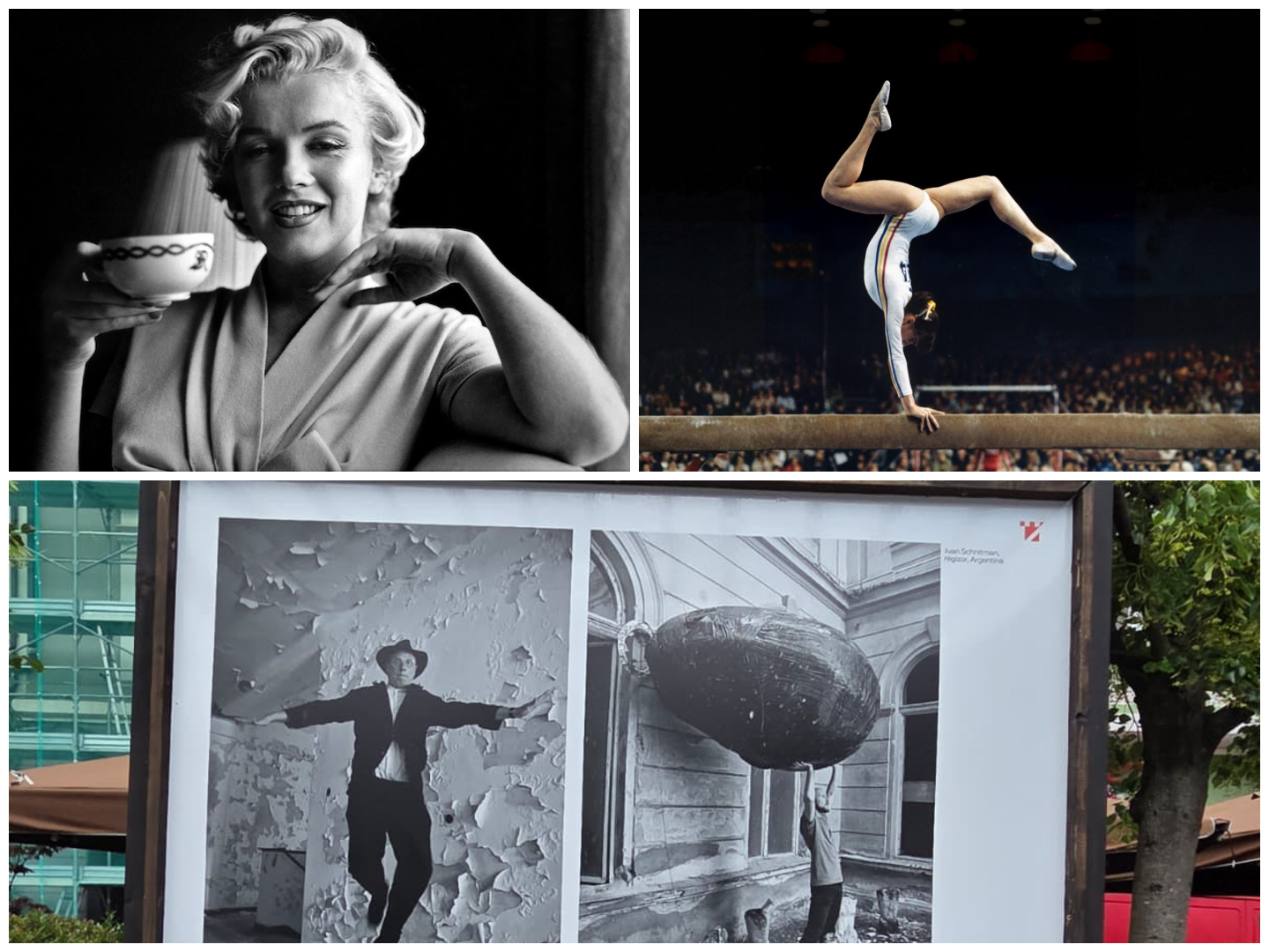 Expoziții de neratat la TIFF.25: Marilyn Monroe, Nadia Comăneci și alte vedete