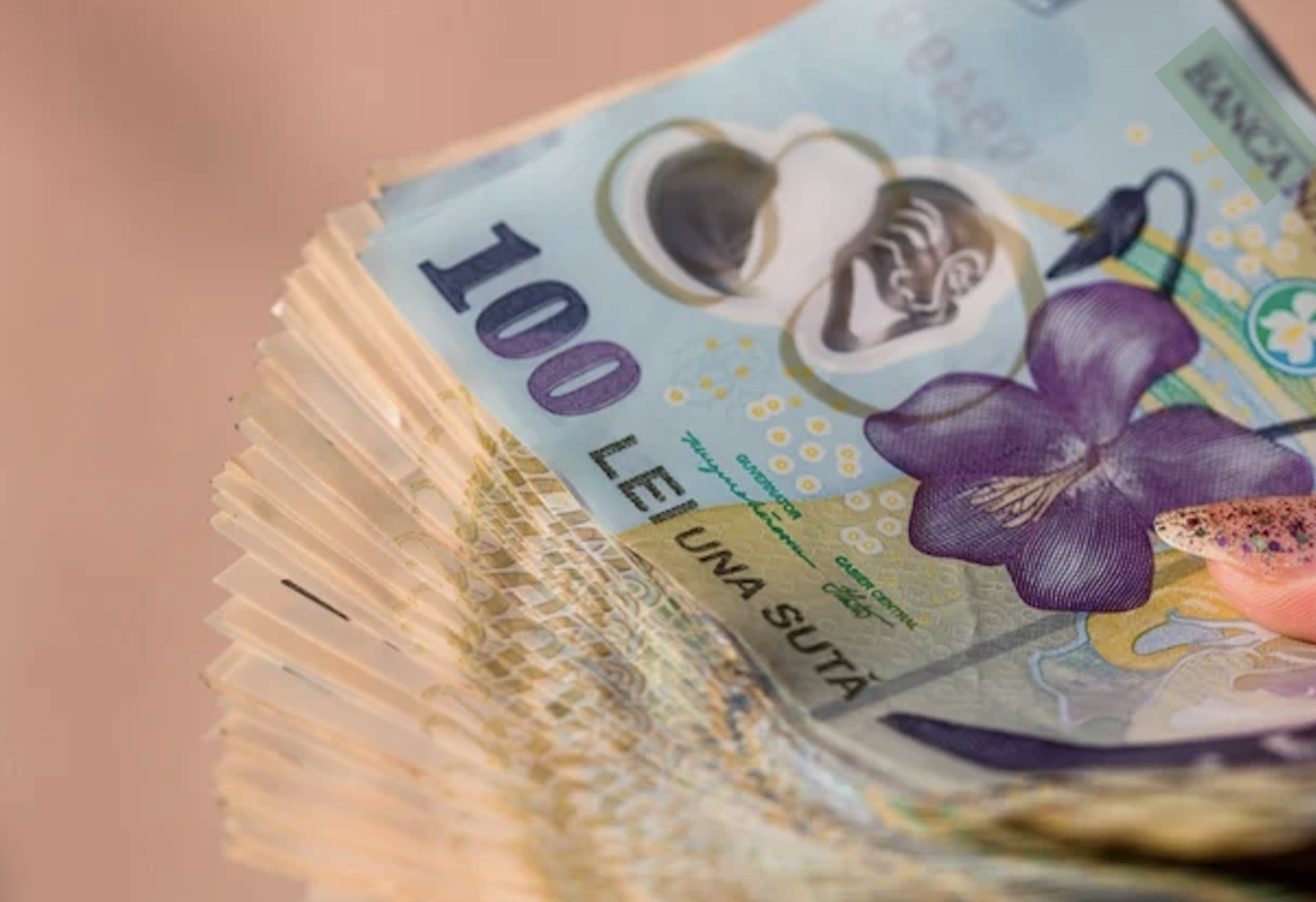 Active de miliarde de euro disponibile în România prin faliment și executări silite