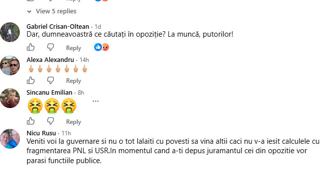 PSD Huedin, făcut praf în comentarii după mesajul Oanei Goga
