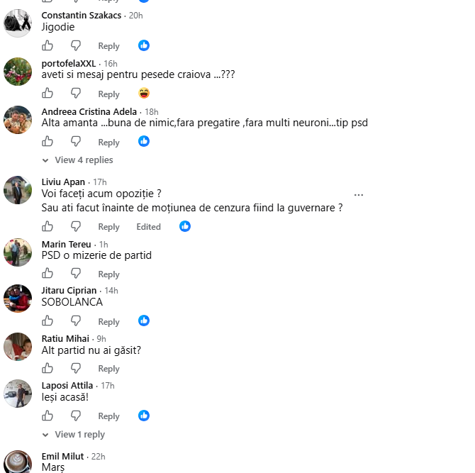 PSD Huedin, făcut praf în comentarii după mesajul Oanei Goga