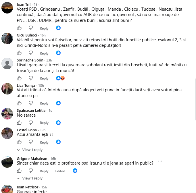 PSD Huedin, făcut praf în comentarii după mesajul Oanei Goga
