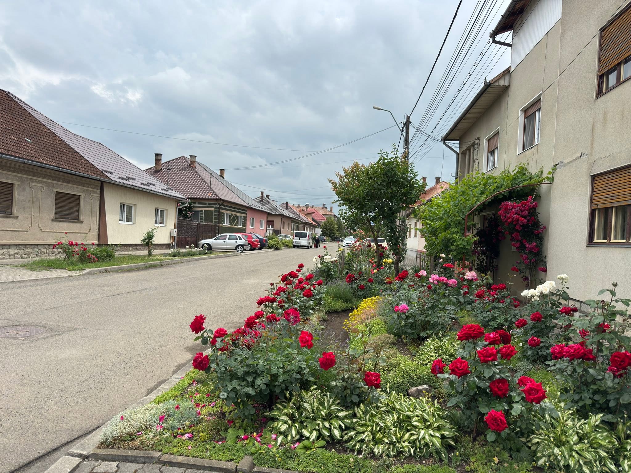 Kudor Csaba consilier local Huedin laudă orașul